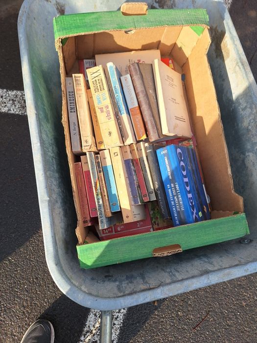 Romane dragoste aventuri