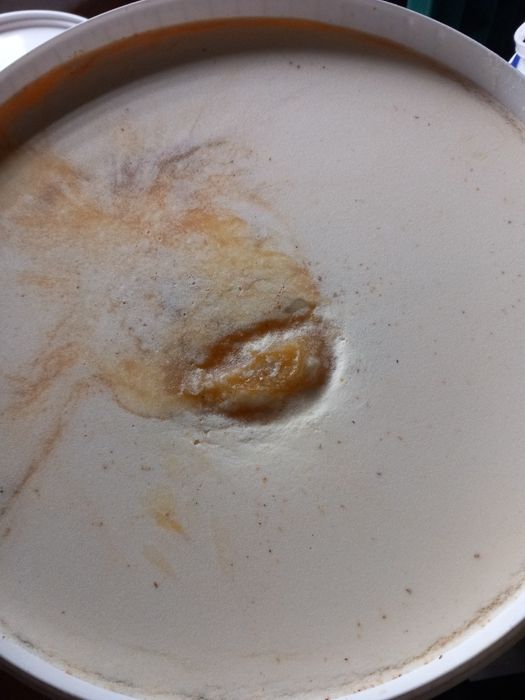 Vând miere de albine  poliflora !