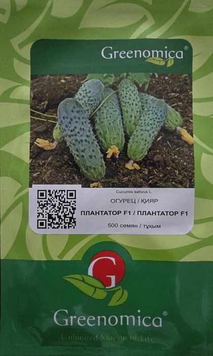 Семена огурца F1 Плантатор 500 сем