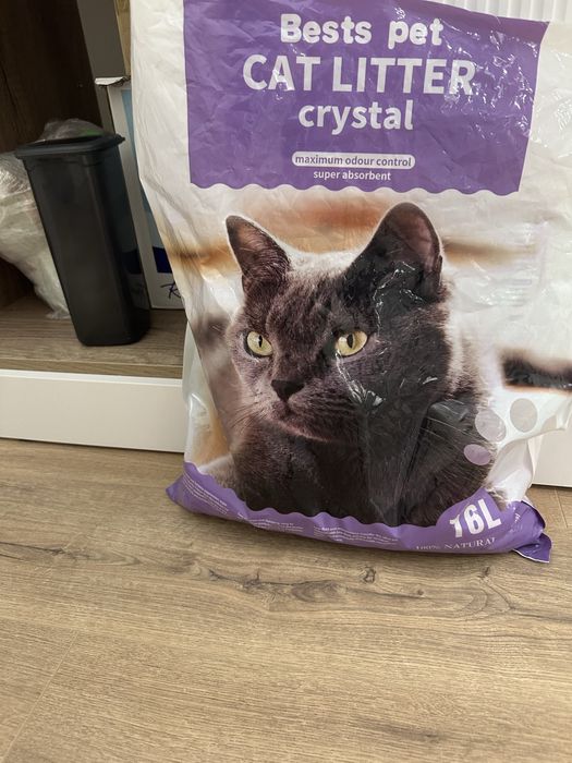 Бенгал с паспортом