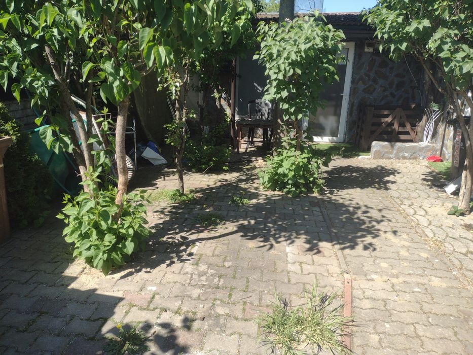 Inchiriez ap la casa pt 1 pers cu 1 catel sau o pisica
