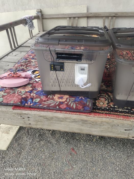 Inkubator 88 talik 12v va 220 da ishlaydi toʻliq avtomat
