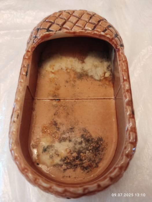 Пепельница.  Туфля