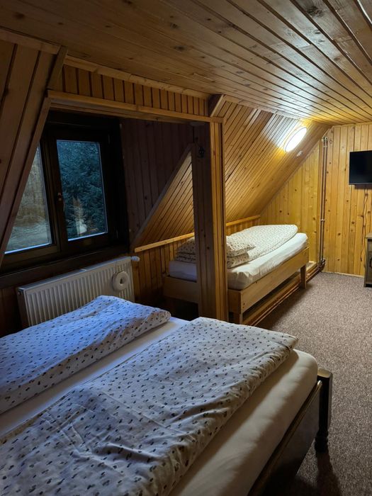 Cabană de închiriat Arieseni