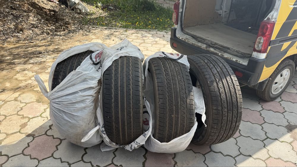 Ризина трианжел лето