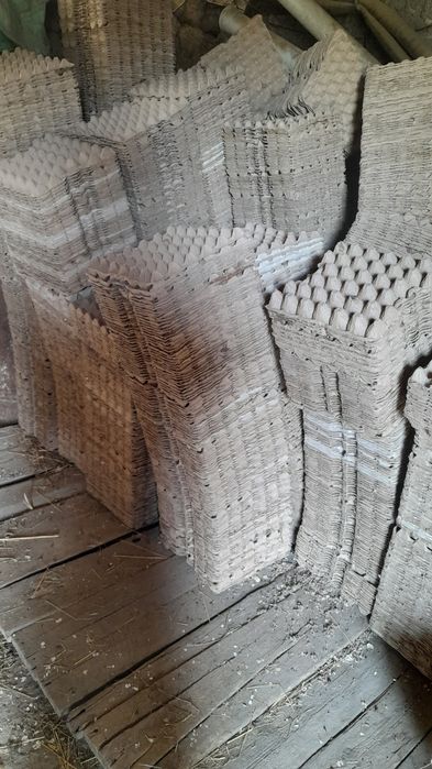 Ячейки тұқым жәшігі