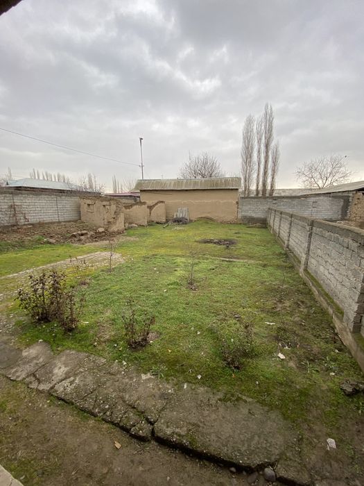 Дом 5 соток Янгибазар