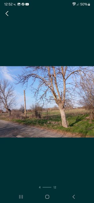 Продава се Парцел в с. Маломирово, Област Ямбол - 2000 кв.м за 3 €/кв.м - Снимка #3