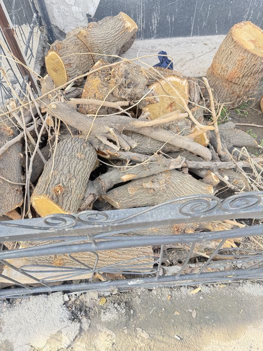 O’tin sotiladi kimga kere bosa keb ob ketila