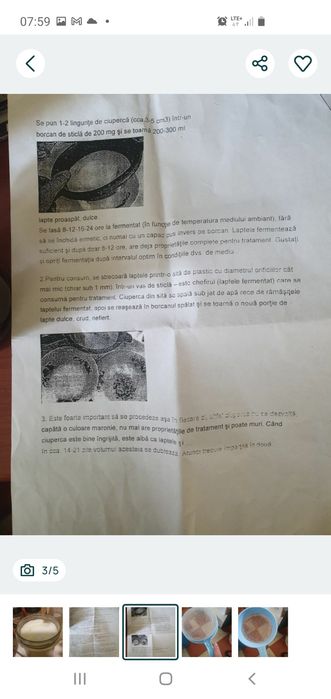 Ciuperca de kefir si ciuperca de Kombucha