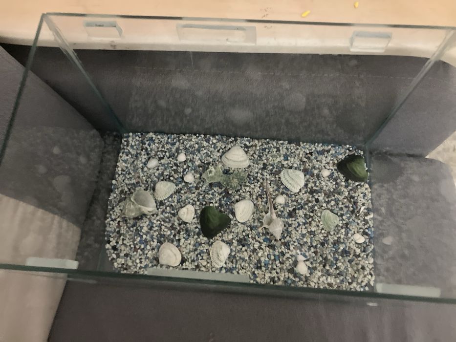 Продается аквариум для рыбок