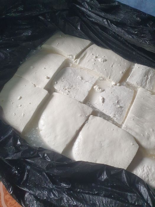 Branza de capra de vanzare