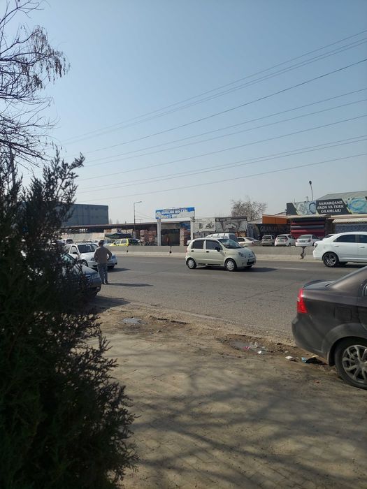 Можжевельниклар аксия нархларда