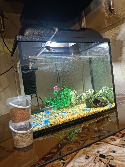 Аквариум с рыбками +корм для рыбок