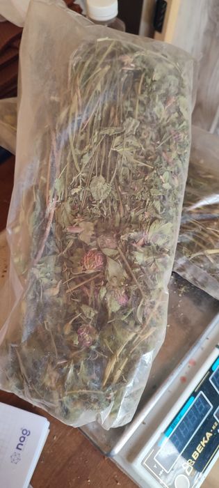 Корм для кроликов трава