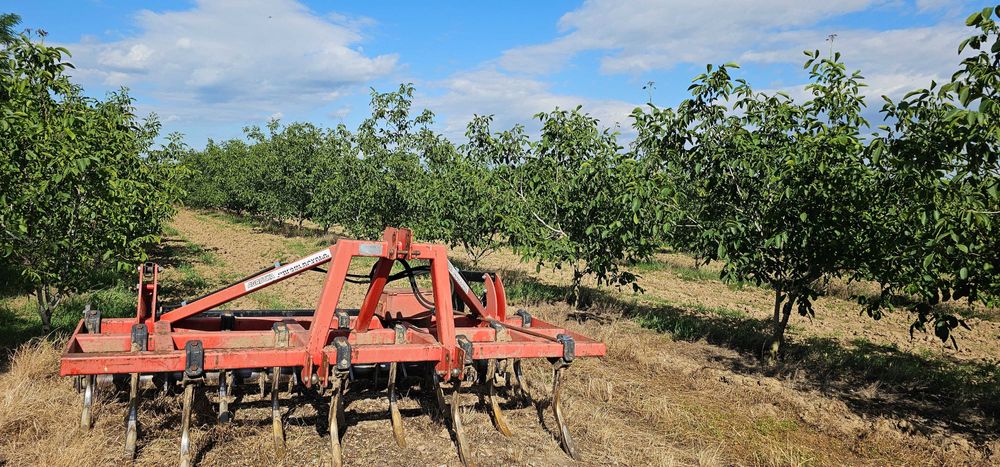 Vanzare plantatie/ferma de nuci, 2000 pomi, 14ha, Prahova
