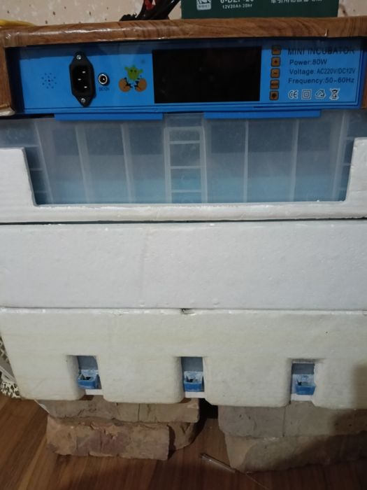 Инкубатор готовый