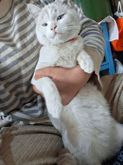 Porno qiz ozini qozgatadi