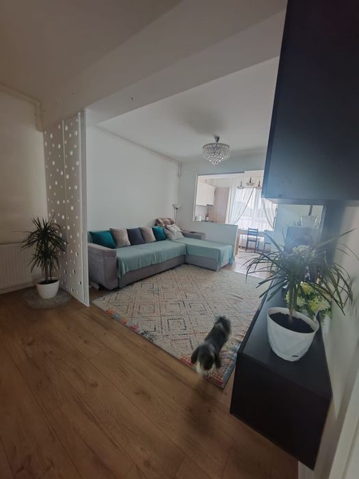 Apartament 3 camere