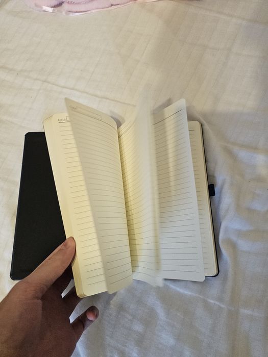 Agenda albastra noua