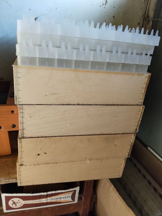 Инкубатор для яйца