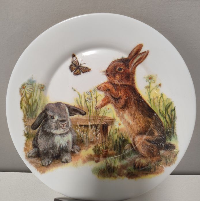 Домашни любимци, котки,кучета,зайчета