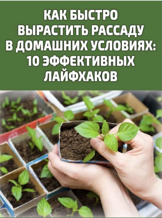Биогомусни зўри сотилади оптом нарх