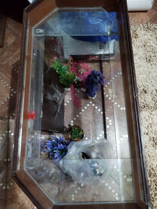 Аквариуму разные