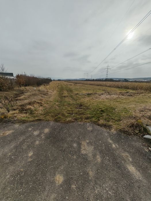 Vând teren extravilan Mohu