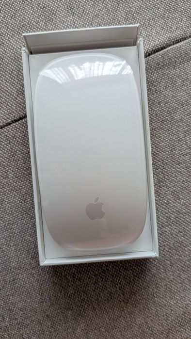 Mouse Magic Mouse Apple