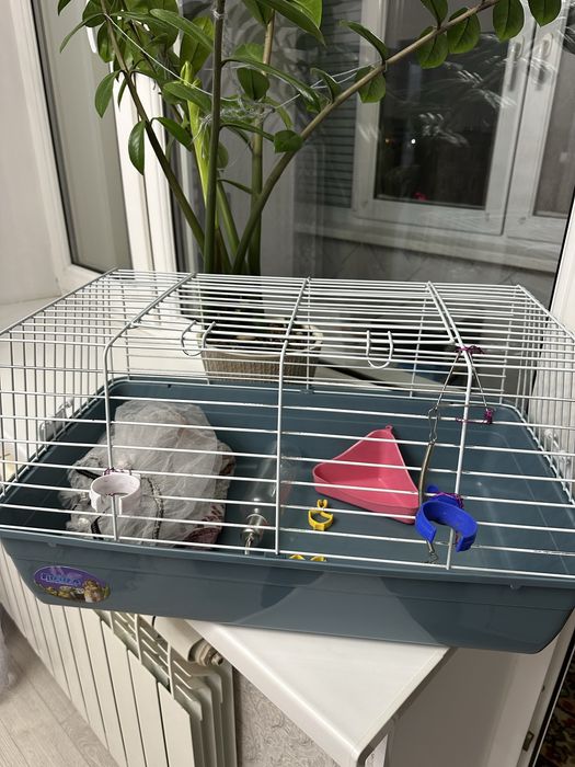 Клетка для грызунов