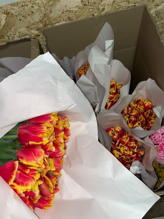 Тюльпаны к 8 марта! Самые низкие цены в городе!