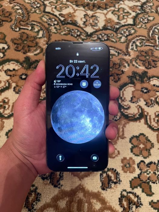 Apple 13 pro max 256 gb