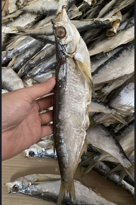 Чехня Вобла Рыбец Сущёный свежего засола