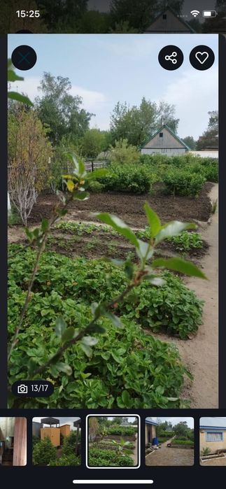 Срочно продам дачу общество комета