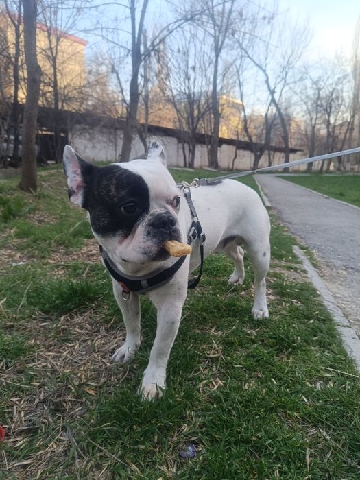 Мальчик, в мае будет год.