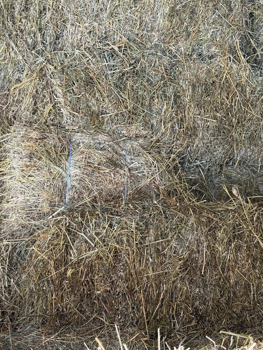 Baloti amestec furaje si lucerna