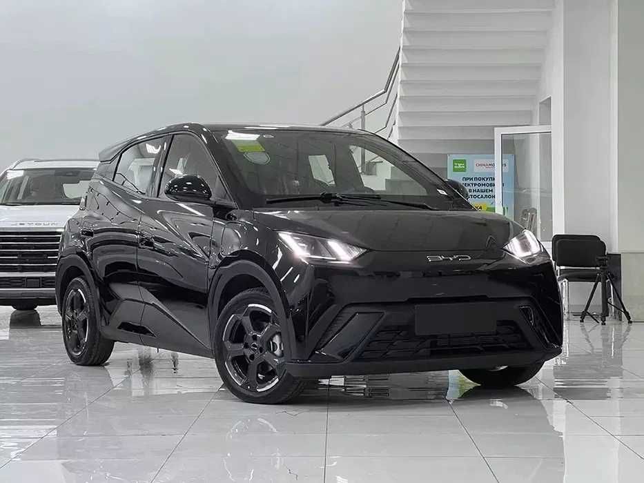 BYD Seagull pod zakaz