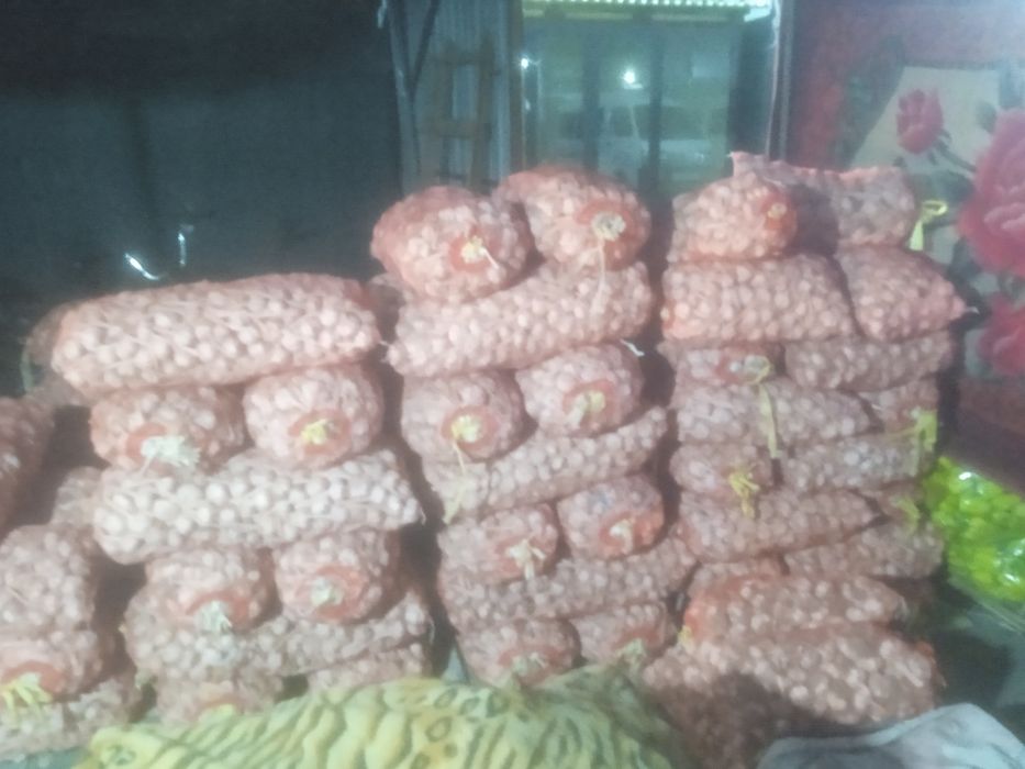 Chesnok optom sotiladi