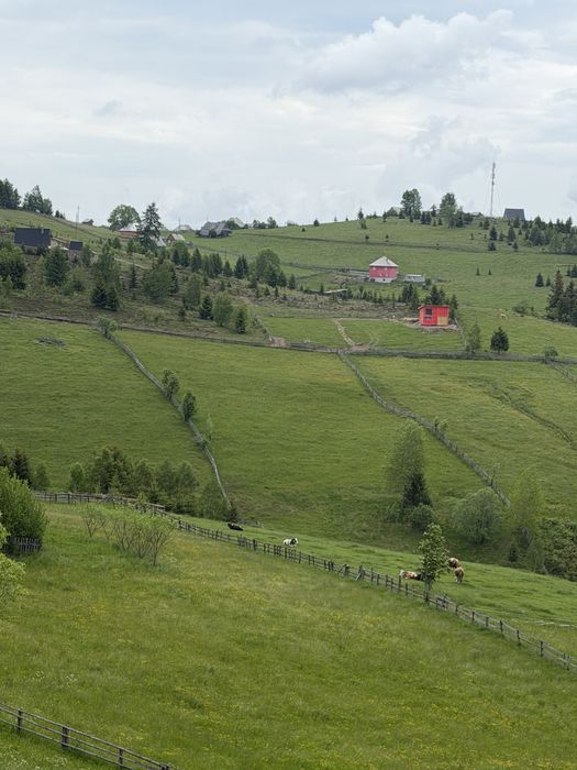 Vând teren in Maguri ( se poate parcela) !