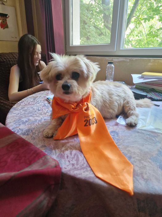 Meditatii matematica