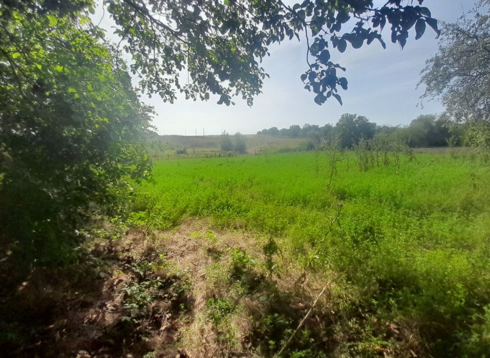 Парцел в регуляция,  Храброво