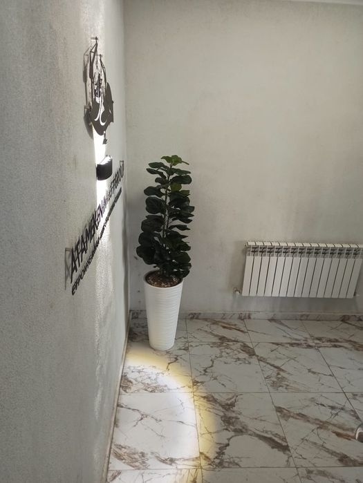 2 комнатная квартира