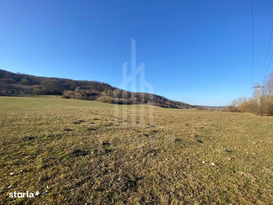 Teren de 7.500 mp de vânzare în Bradu, Avrig-COMISION 0% – lângă râul