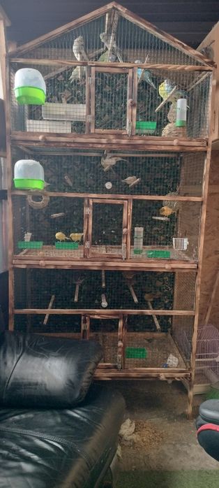 Voliera și păsări mici