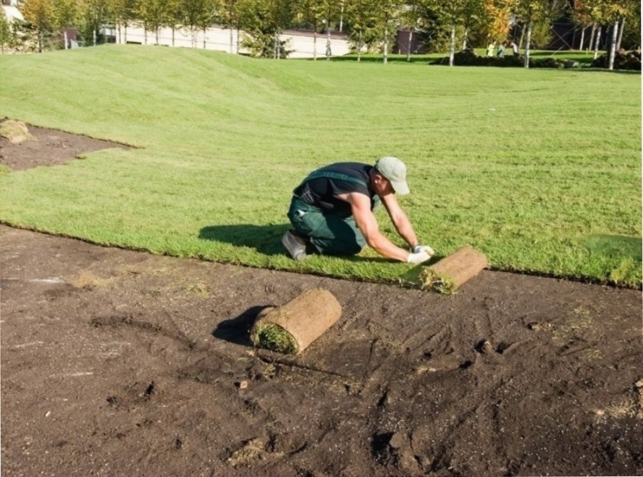 Рулонный газон автополив
