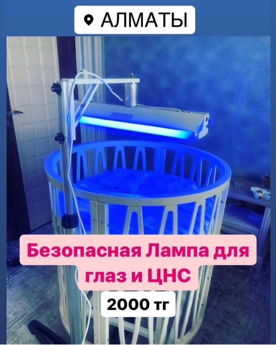 Аренда Фотолампы от Желтушки,прокат