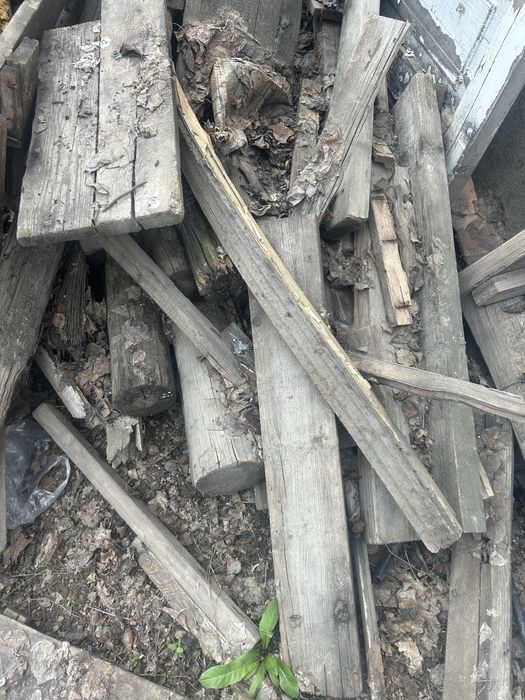 Дрова Даром!! Бесплатно дрова!