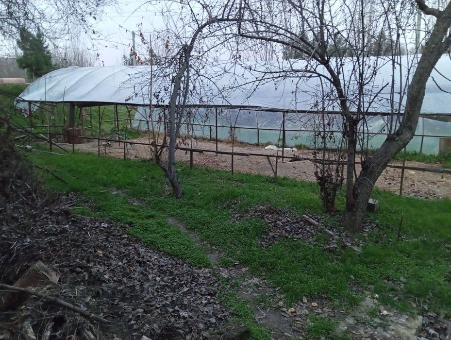 Srochna yer sotiladi  qolgan malumotla telda