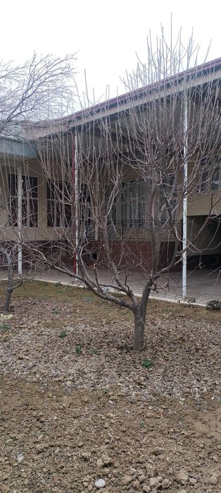 Уй сотилади Юнусобод 6 сотик.